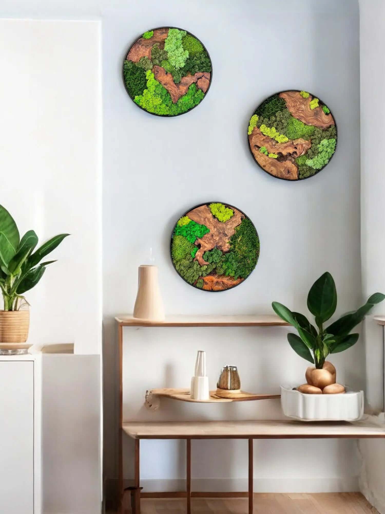 three round wall decors of cedar wood with variety of green colored preserved moss hanging on the wall with plant decors sitting on side table