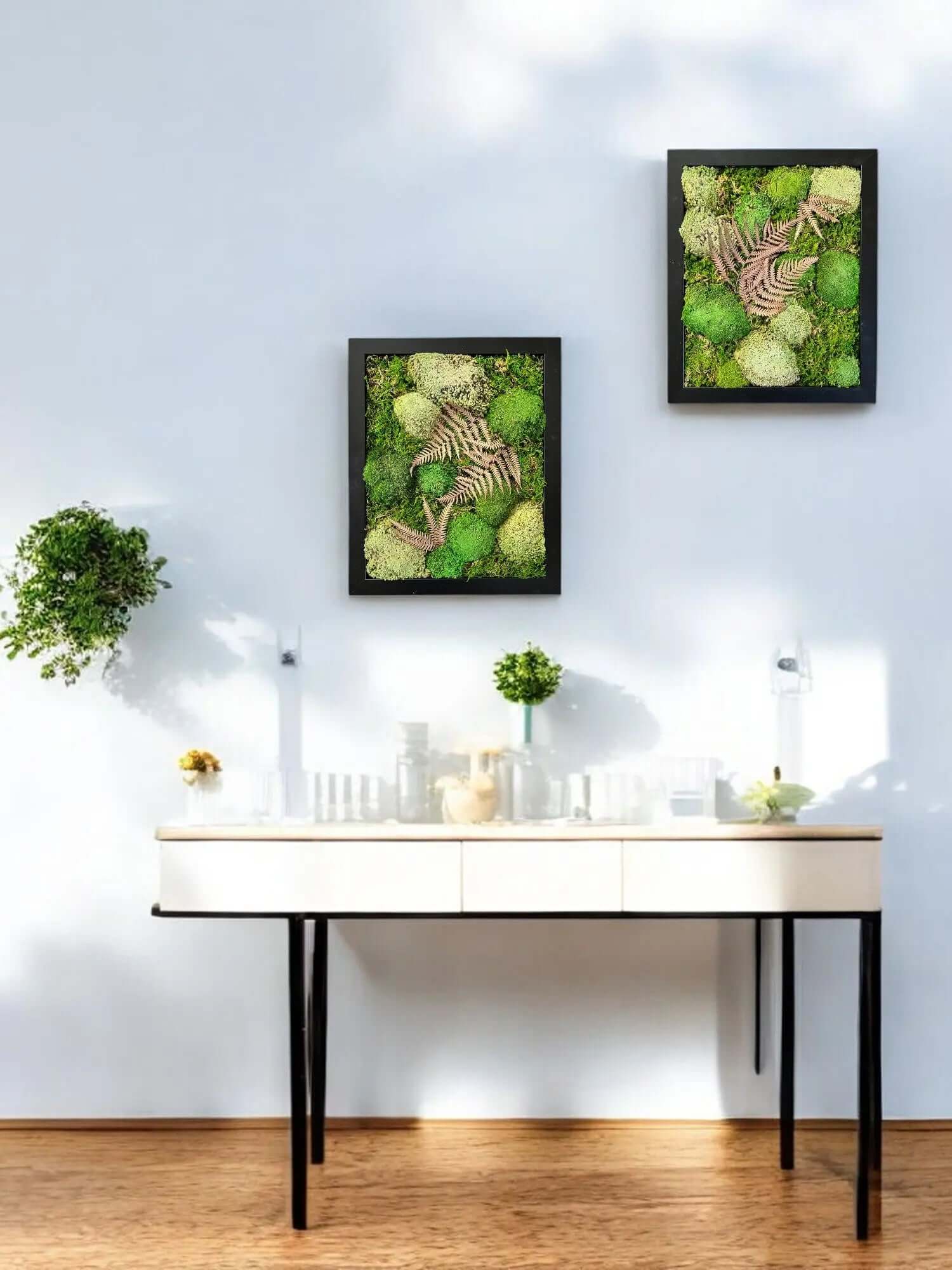 Preserved moss wall art with leaves hanging above a table with decorative plants on top