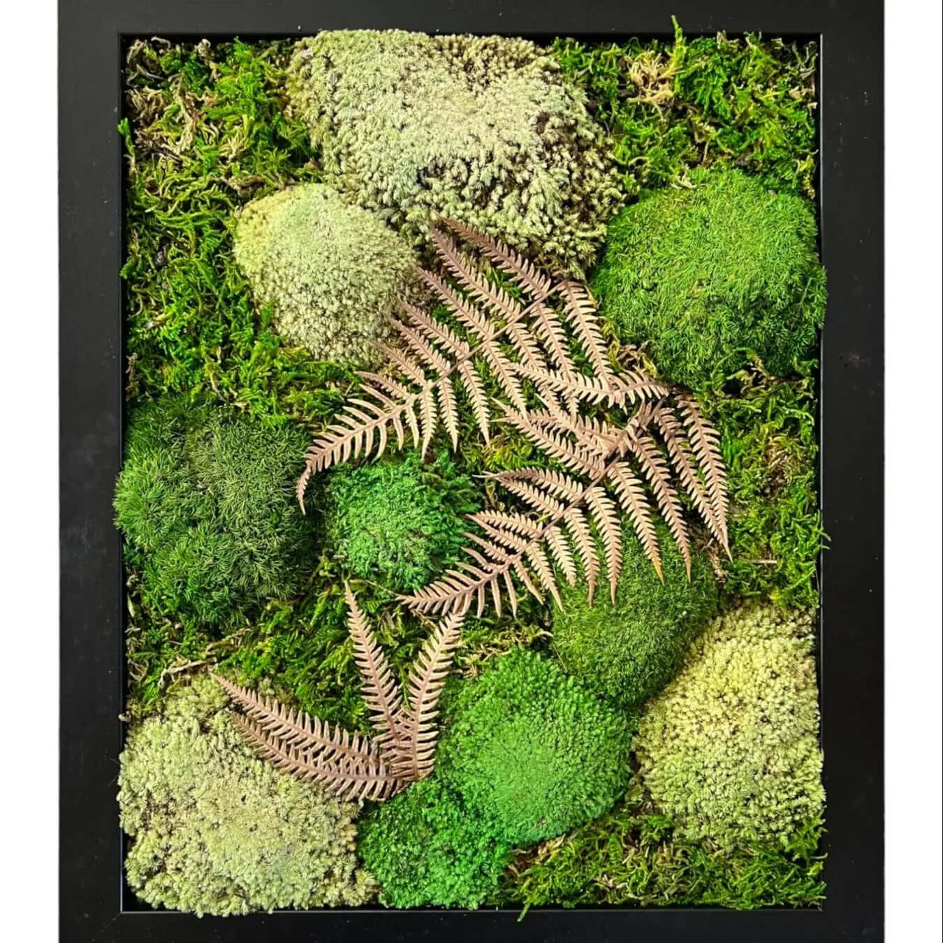 Preserved Moss Wall Art | 16x13" with Artificial Leaves & Wood

