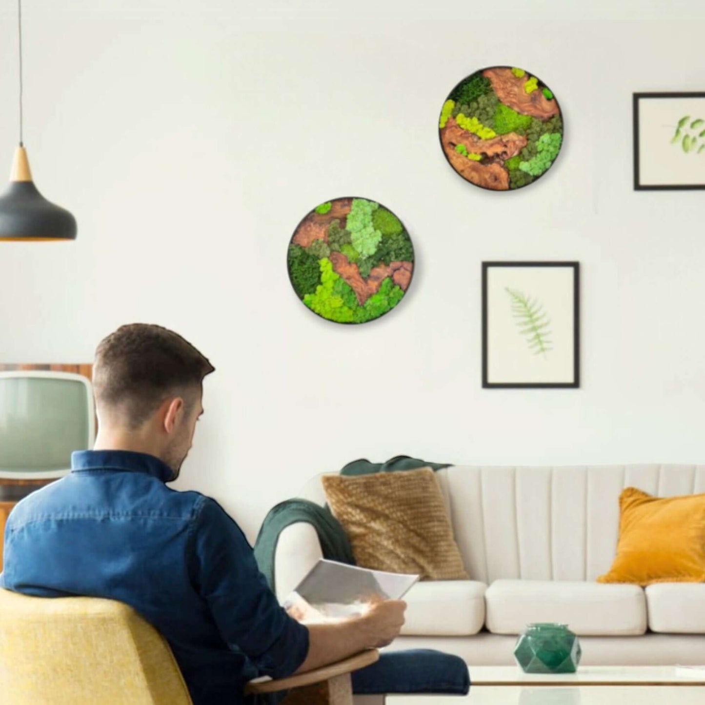 round shape cedar wood with variety of green colored preserved moss wall decor hanging on a wall while a man sits in a living room with couch and sofa