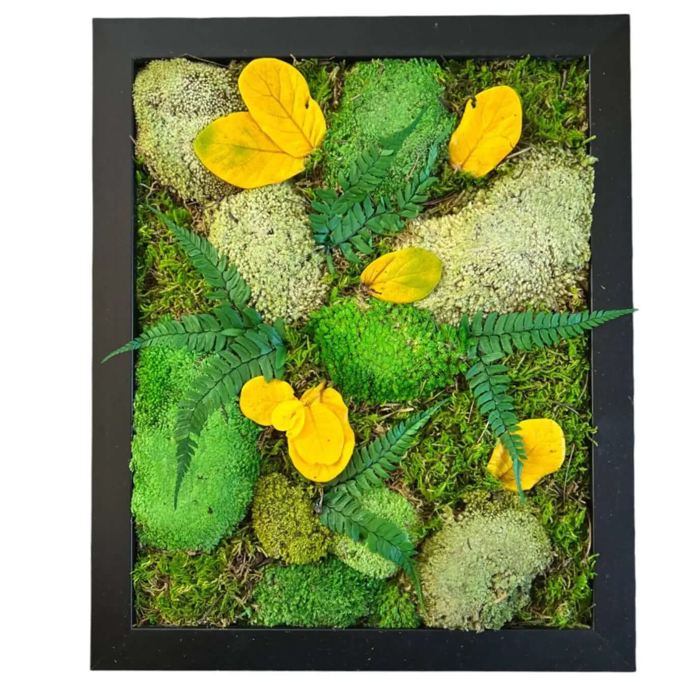 Preserved Moss Wall Art | 16x13" with Artificial Petals & Wood