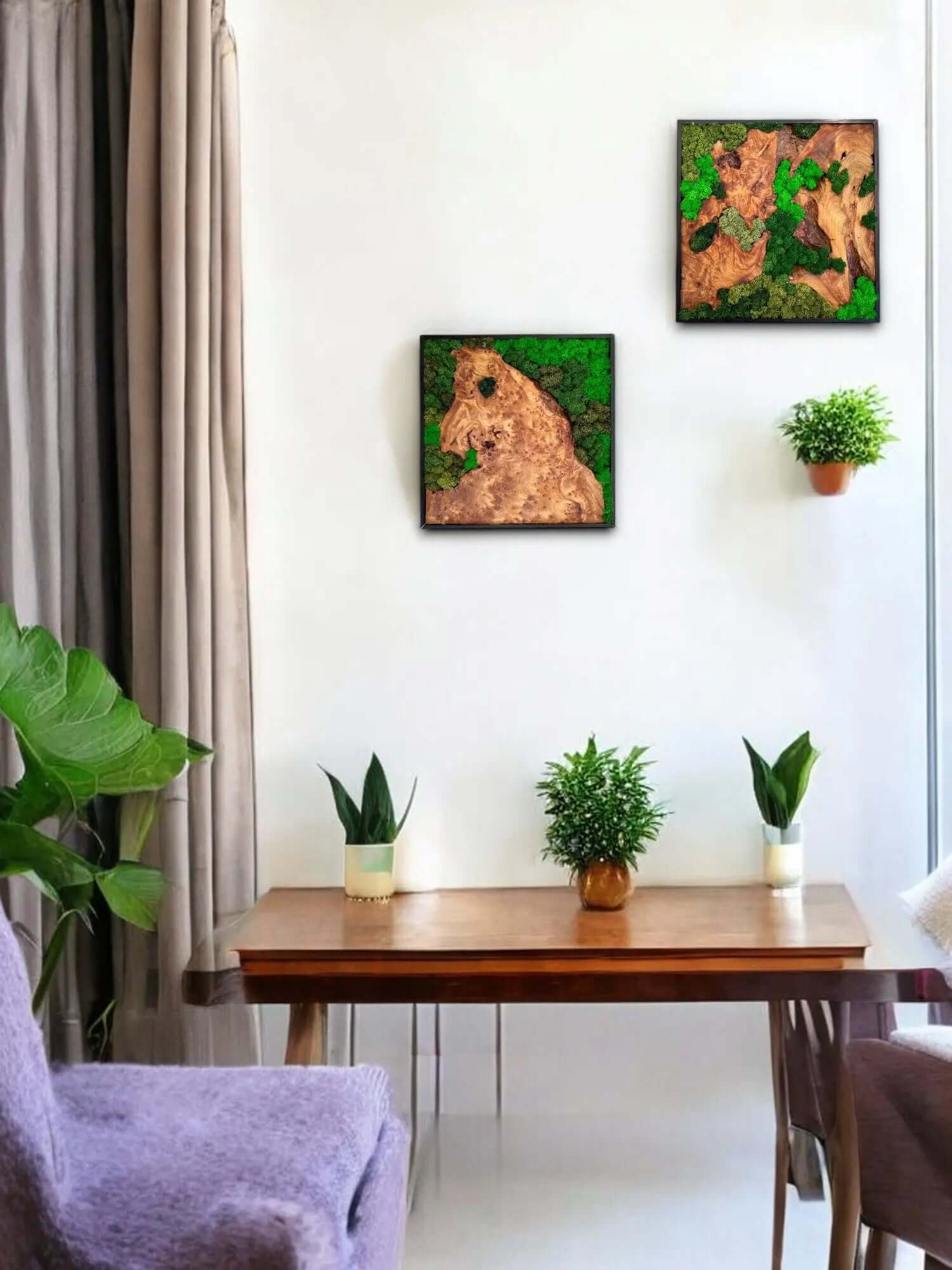 two round wall decors of cedar wood with variety of green colored preserved moss hanging on the wall with plant decors sitting on side table in a living room