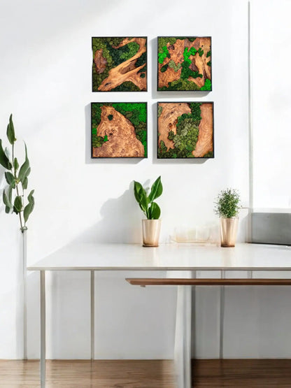 four squared shape wall decor of cedar wood with variety of green colored preserved moss wall decor hanging on the wall with green plants sitting on a table in an office