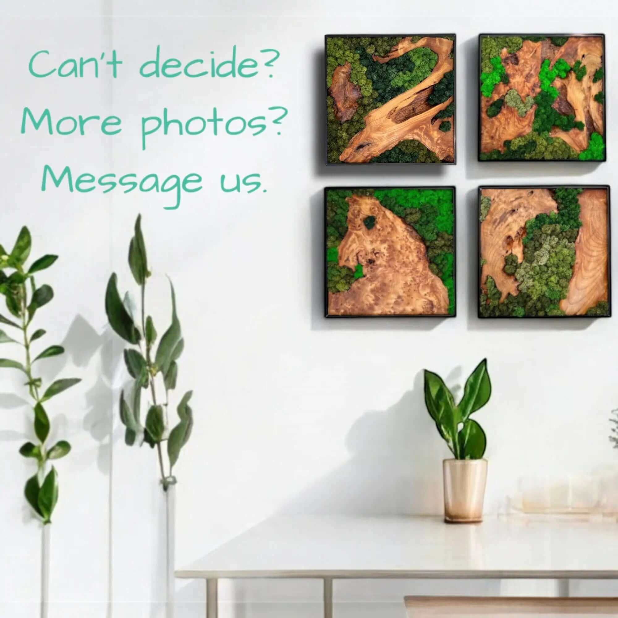 Natural Moss Wall factory Decor - 12 x 12 Square