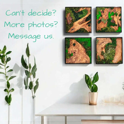 squared shape cedar wood with variety of green colored preserved moss wall decor hanging on the wall with green plants sitting on a table text shows can't decide more photos message us