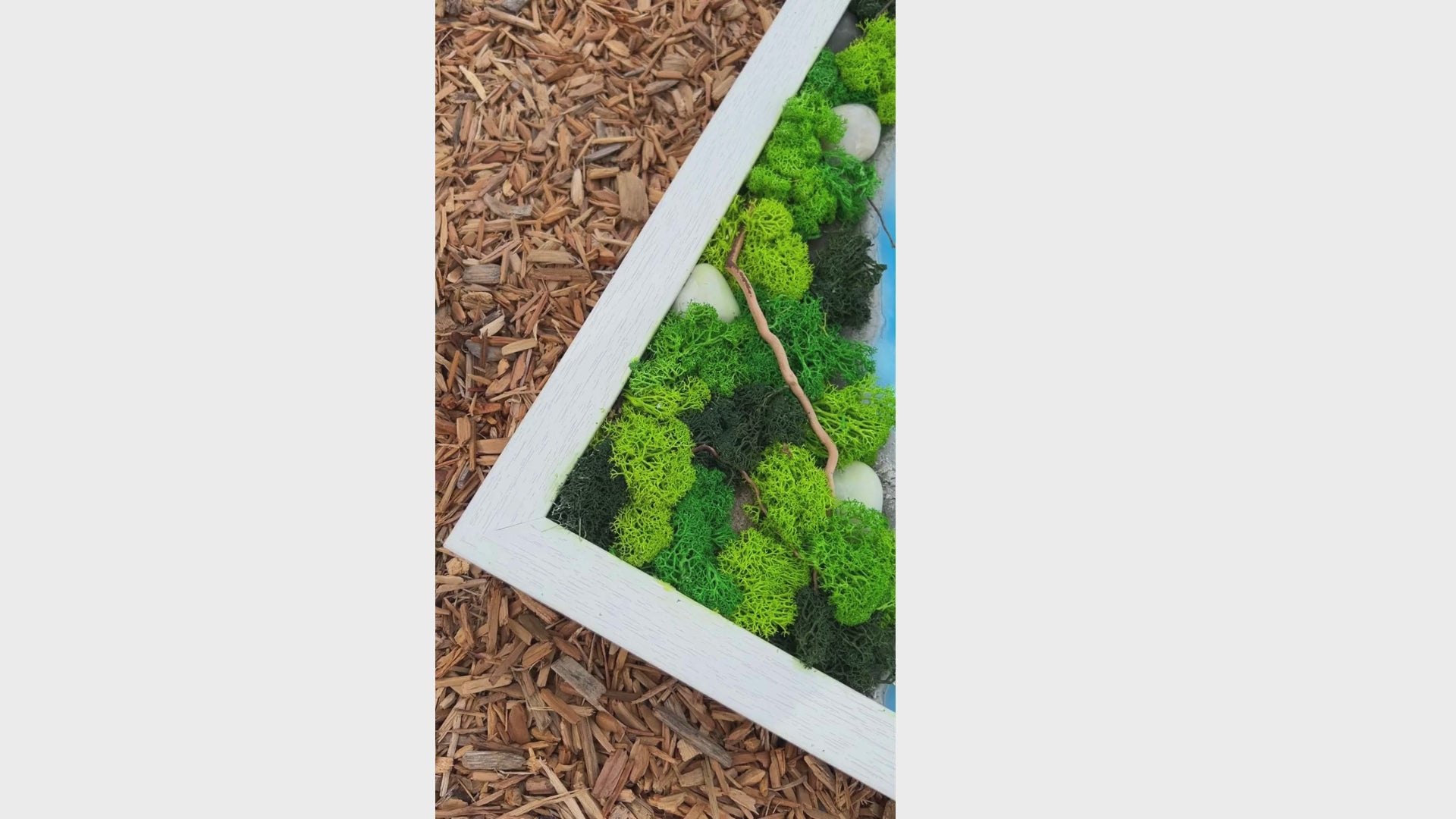 Video showcasing epoxy and moss wall art with a sky-blue epoxy river flowing through green moss and natural rocks.  Highlights the texture of the moss, the unique epoxy design, and the natural elements