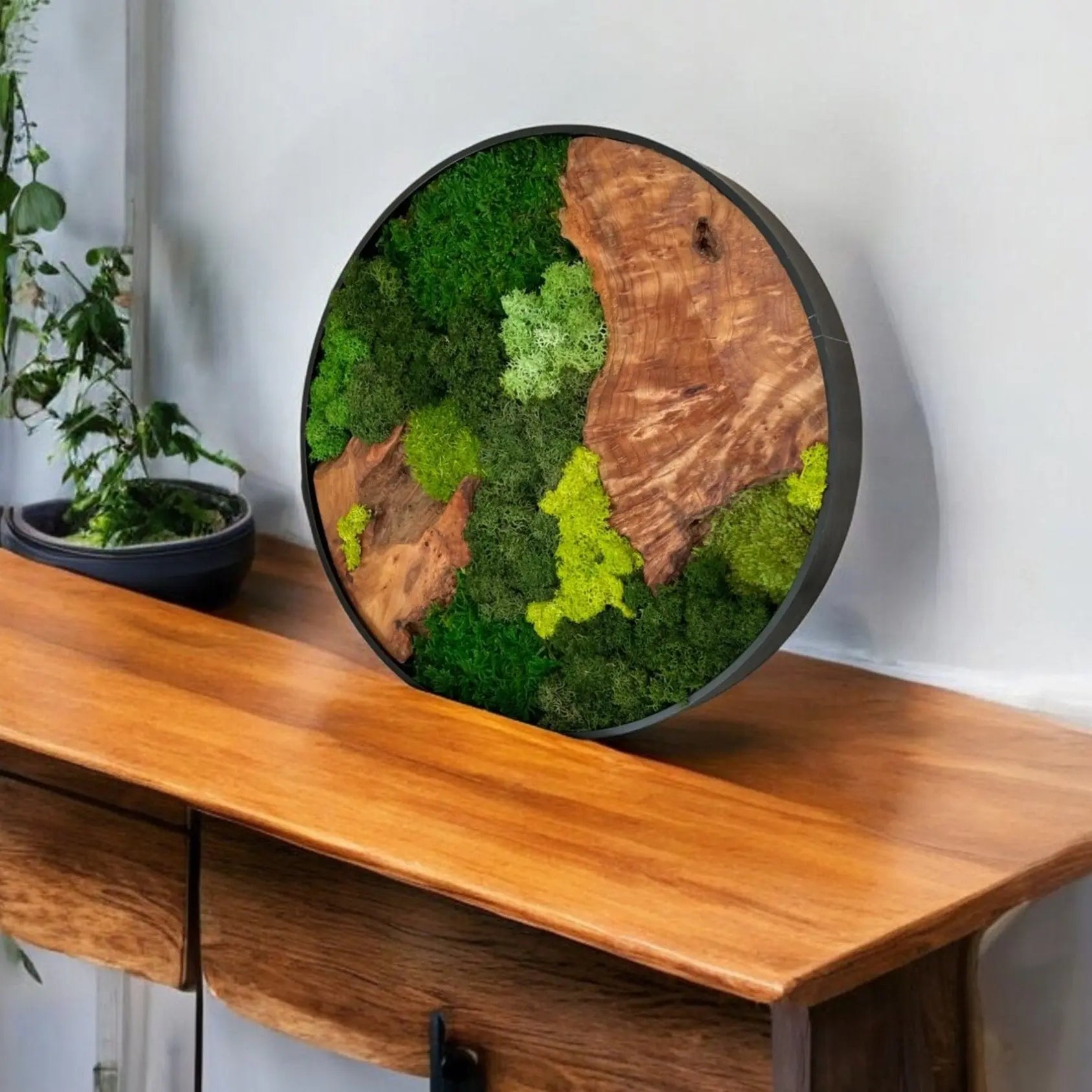 round shape cedar wood with variety of green colored preserved moss wall decor sitting on a console table next to a plant